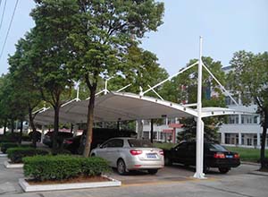 膜結構為何出現(xiàn)色差？膜結構色差如何解決？